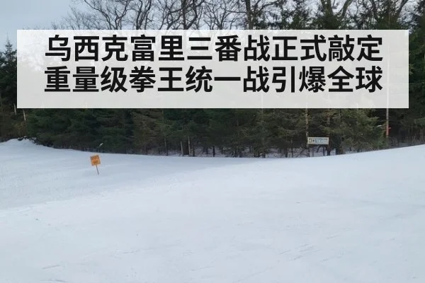 乌西克富里三番战正式敲定 重量级拳王统一战引爆全球